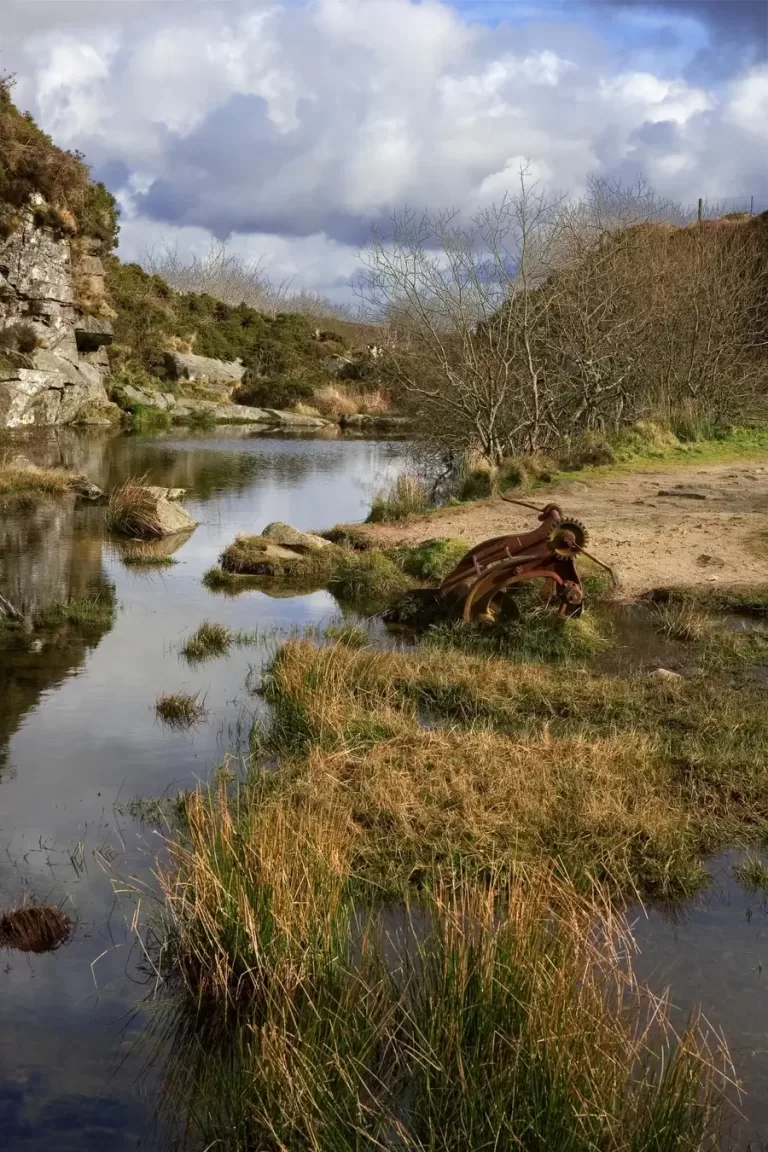 Natural spring and overgrown stream near rusted pipework – illustrating groundwater contamination risk and hydrogeological assessment
